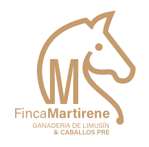 FINCA MARTIRENE CIUDAD REAL